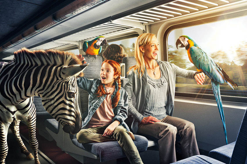 网站攻击软件工具